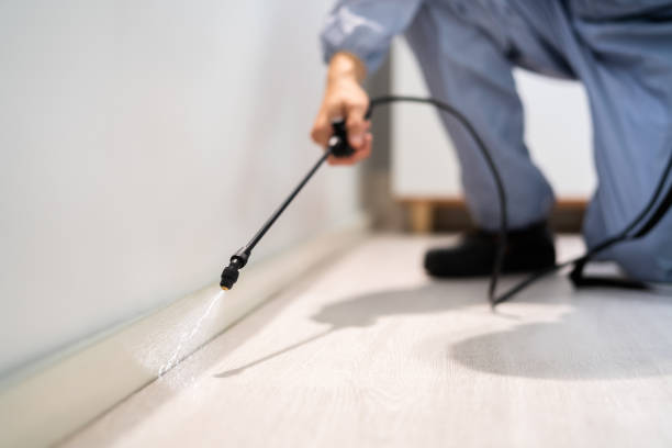 Licensed Rodent Control service in Reynoldsburg, OH - Nex Pest Control