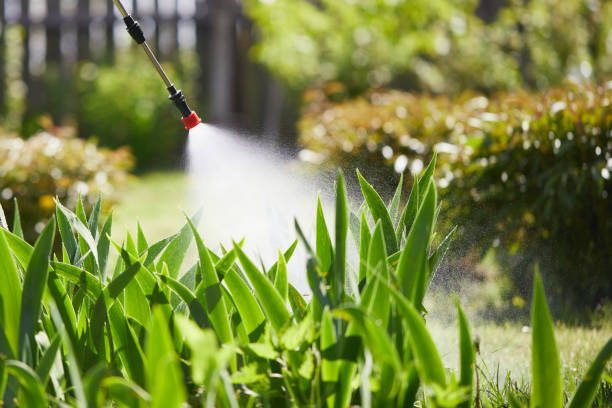 24/7 Emergency Rodent Control experts in Reynoldsburg, OH