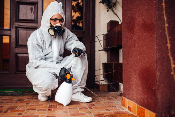 Reliable Rodent Control contractor in Reynoldsburg, OH by Nex Pest Control